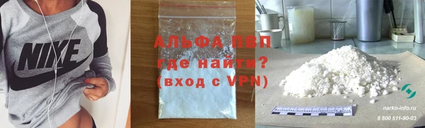 крисы Алексин