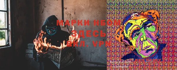 дмт Алзамай