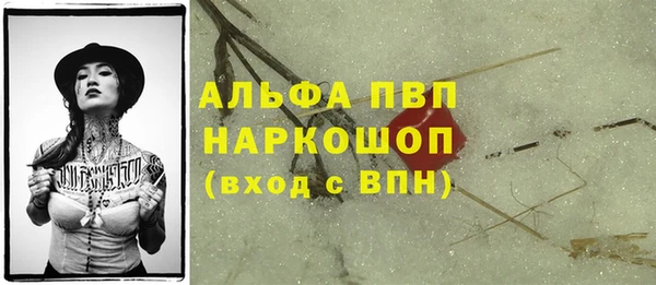 крисы Алексин
